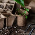 Jak prawidłowo dobrać nawozy dla optymalnego wzrostu twoich roślin?